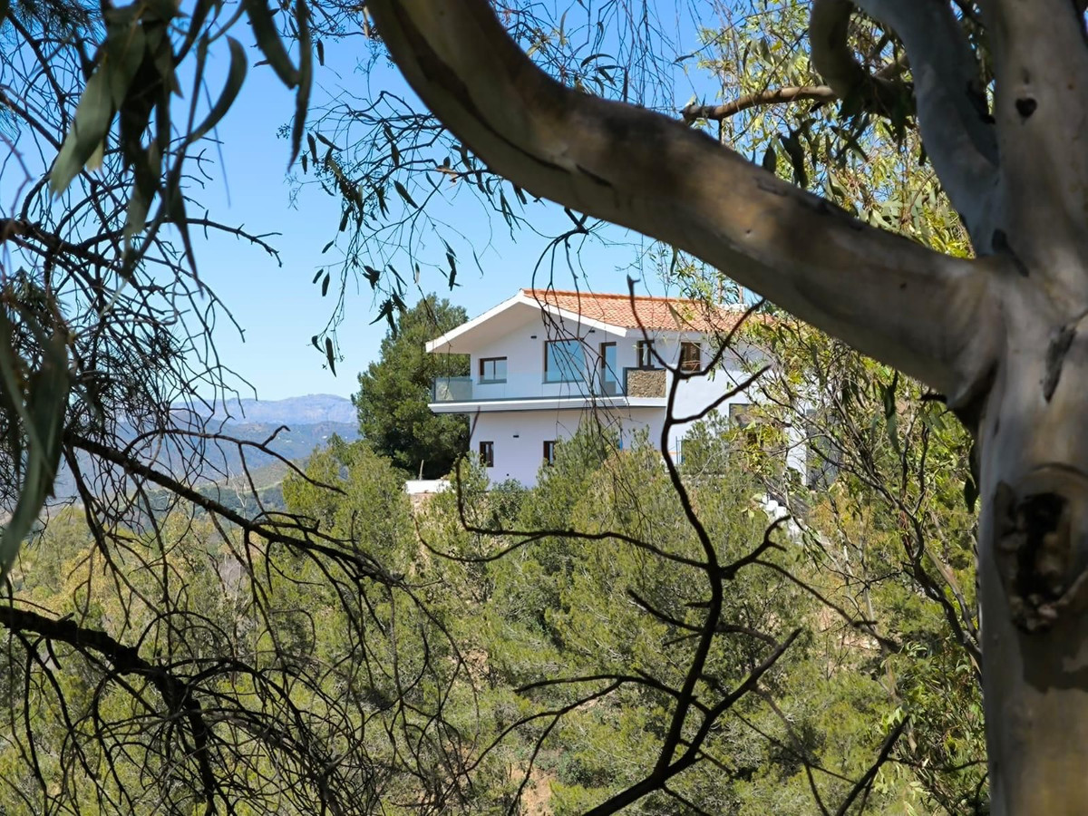 Ciudad Jardín, Málaga