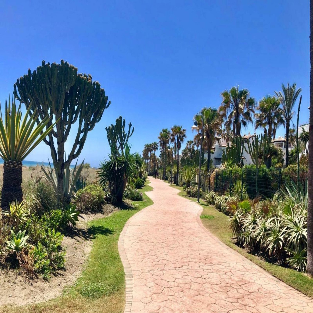 Estepona