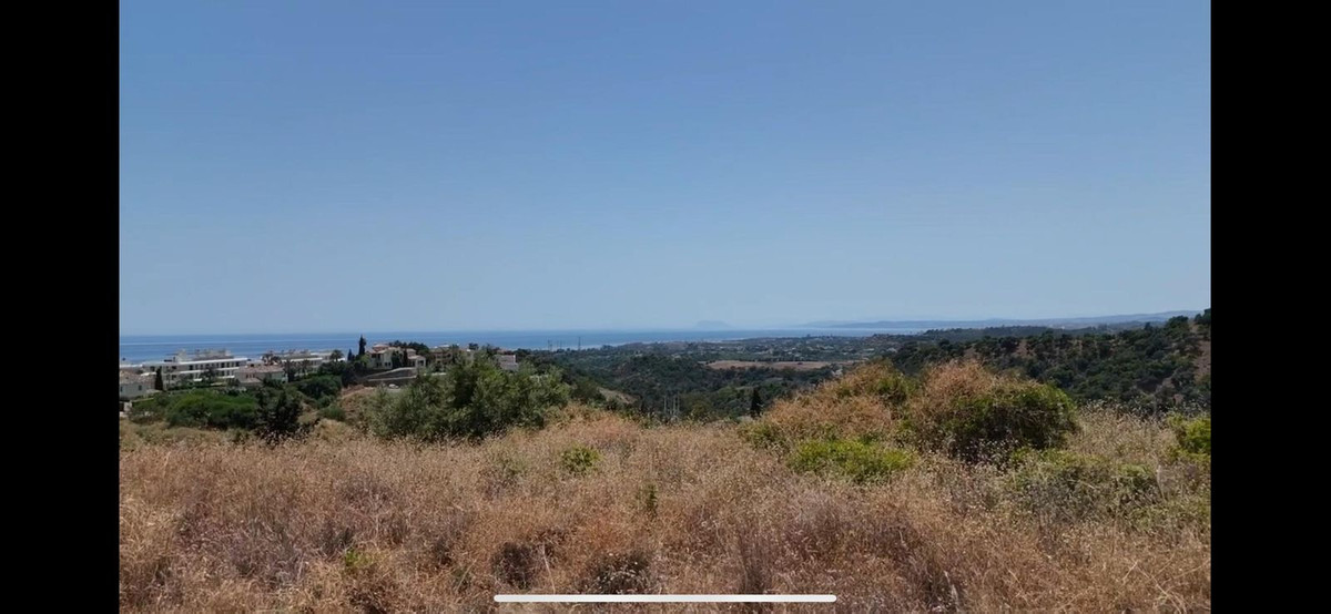 Estepona