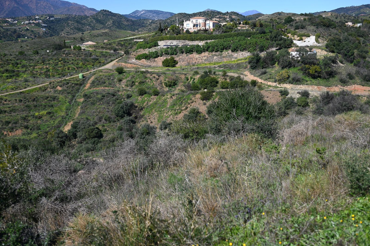 Mijas Golf